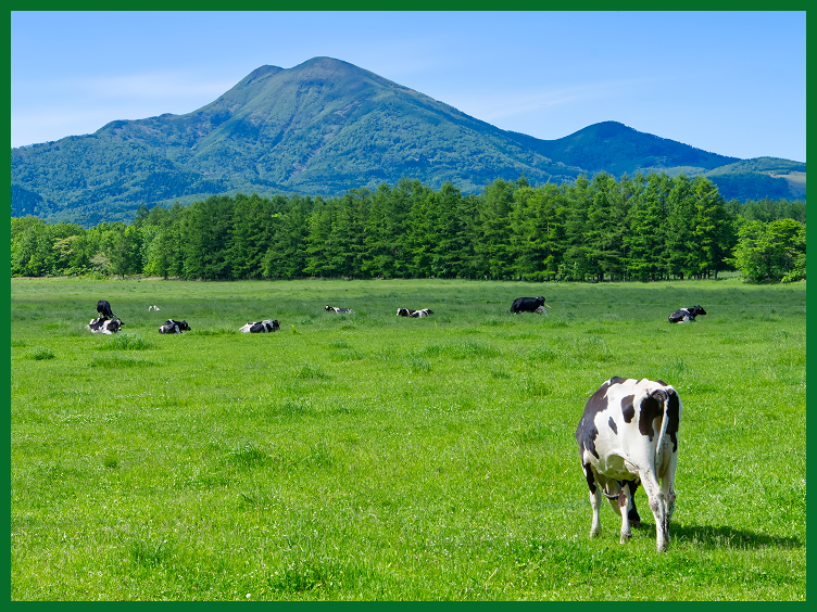 圧倒的なヒアリング力